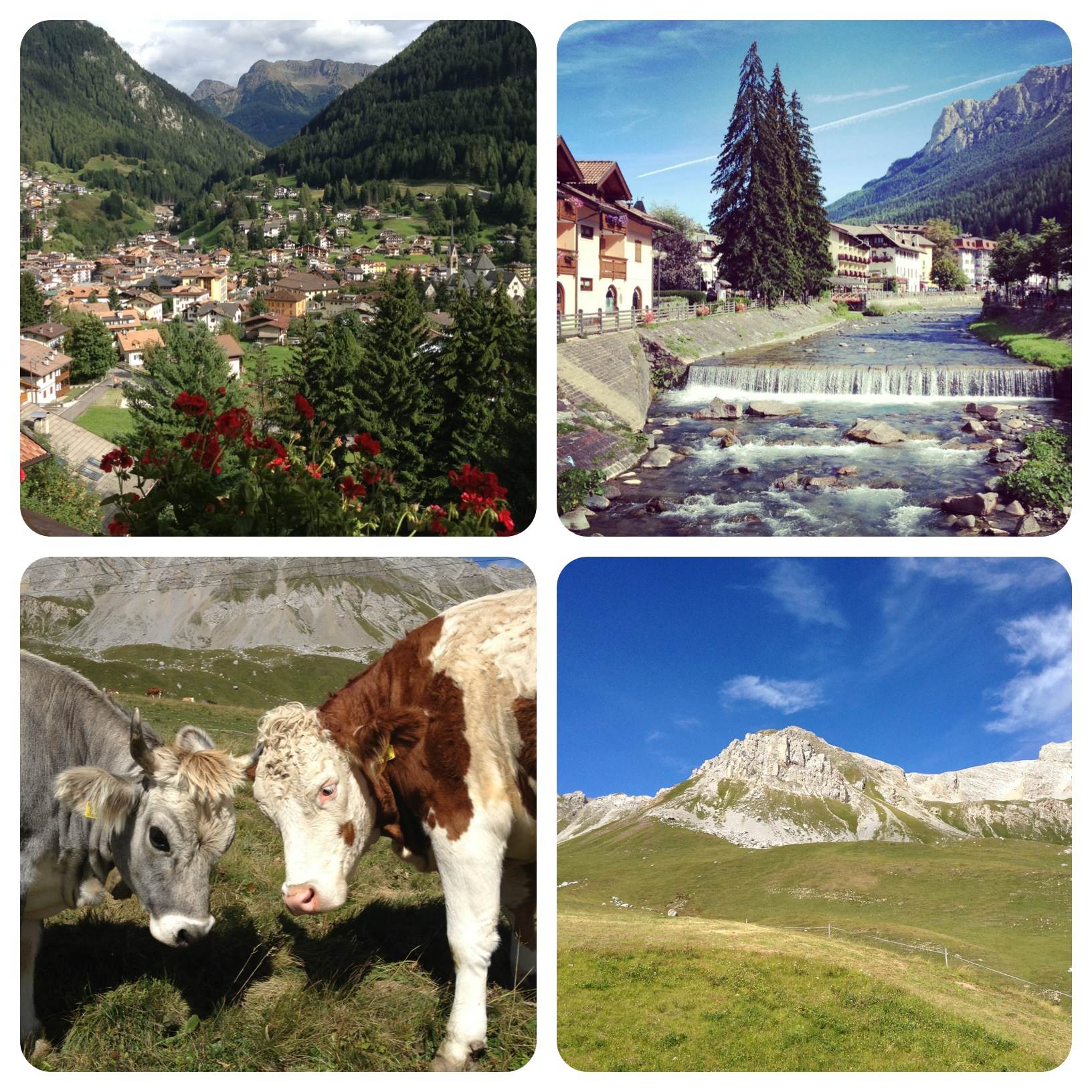 moena pascoli dolomiti bloggerWEmoena