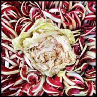 radicchio treviso