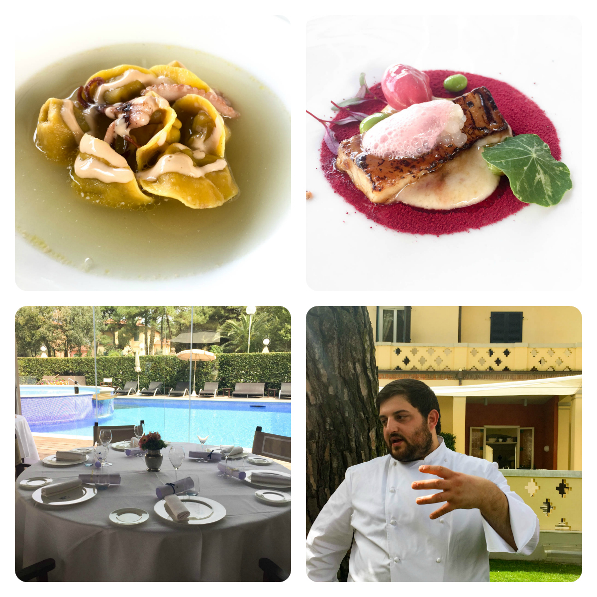 Magnolia Forte dei Marmi